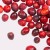 Freeze-Dried-Fruit-Cranberry.jpg