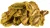 kiwi-suszone.webp